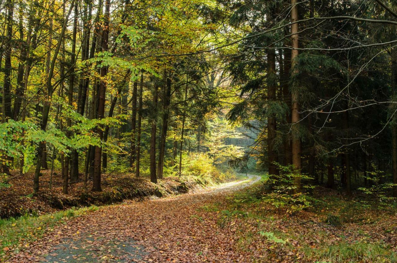 Weinberghaus Prossen Villa Bad Schandau Eksteriør billede